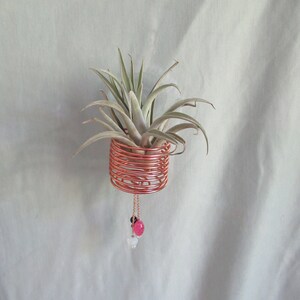 May include: A copper wire air plant holder with a spiral design, holding a green air plant. The holder has a decorative chain with pink and white beads. The holder is hanging against a white background.