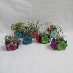 May include: A collection of small potted plants with air plants. Each pot is adorned with colorful, flower-shaped embellishments in shades of blue, pink, green, and purple. The plants have long, slender green leaves.