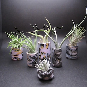 May include: A collection of six small, decorative ceramic planters, each holding an air plant. The planters feature a marbled design in shades of purple, black, and yellow. The air plants have green, spiky leaves, adding a natural touch.