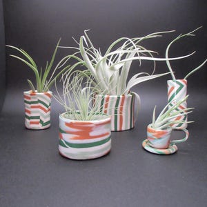 May include: A collection of ceramic planters with air plants. The planters feature a colorful striped design in orange, green, and white. The collection includes various shapes and sizes, including a teacup and saucer.