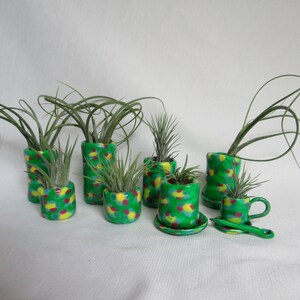 May include: A collection of small, green ceramic planters with colorful polka dots, each holding a small air plant. The planters vary in shape and size, including a teacup and saucer set. The background is a plain white surface.