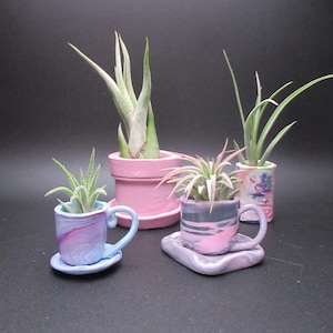 May include: Four small ceramic planters, each holding a small plant. The planters are in the shape of teacups and pots, with pink, blue, and gray marbled designs. The plants have long, thin green leaves.