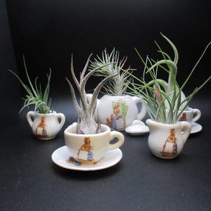 May include: A collection of small, cream-colored ceramic teacups, a teapot, and saucers, each adorned with a Peter Rabbit illustration. The teacups and teapot hold air plants with green and gray foliage. The arrangement is set against a dark background.