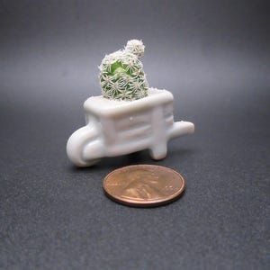 May include: A miniature white ceramic wheelbarrow planter holding a small green cactus with white spines. A penny is next to the planter for size comparison. The background is a dark gray.