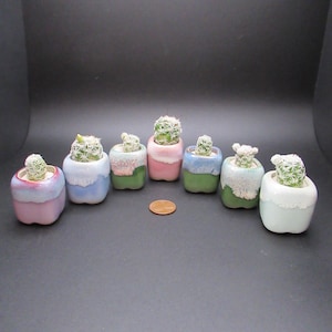 May include: A collection of small, colorful ceramic pots, each containing a small cactus. The pots are painted in pastel shades of pink, blue, green, and white. The cacti have spiky, green bodies and white, fuzzy tops. A penny is next to the pots.