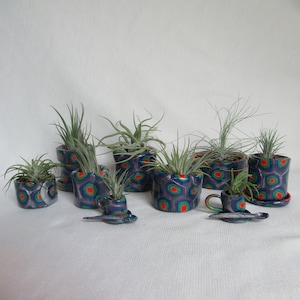 May include: A collection of small, decorative ceramic planters with air plants. The planters are cylindrical and feature a geometric pattern in shades of blue, red, and green. The air plants have long, slender green leaves. Some planters include matching saucers.