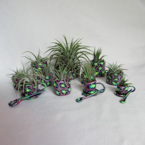 May include: A collection of small air plants in decorative, colorful pots. The pots are purple with a starburst pattern in green and yellow. Some pots have matching saucers and spoons. The air plants have long, green leaves.