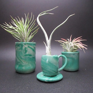 May include: Three small, teal-colored ceramic planters with a marbled effect, each holding an air plant. One planter is a cup and saucer set. The air plants have green and pink foliage. The planters are on a dark background.