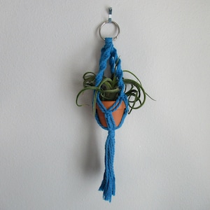 May include: A blue macrame plant hanger with a small terracotta pot holding a green plant. The hanger is suspended from a metal ring and hook, creating a decorative and functional piece for indoor or outdoor use.