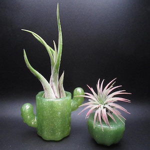 May include: Two green cactus-shaped planters, one larger and one smaller, each holding air plants. The larger planter has a cactus design with arms, while the smaller one is round. The air plants have green and pinkish-red leaves.
