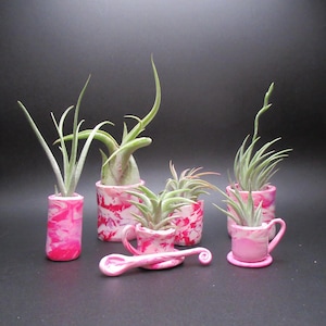 May include: A collection of small, pink and white marbled ceramic planters, each holding a small air plant. The planters are in various shapes, including cylinders, teacups, and a spoon-shaped dish. The air plants have long, slender green leaves.