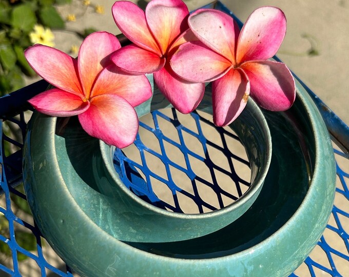 Plumeria Pansy Flower Ring Vase Etsy