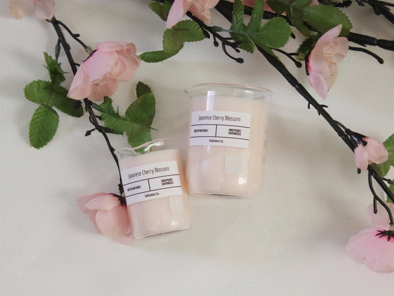 Chemistry Beaker Candle japanese Cherry Blossom Soy Wax Etsy