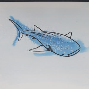 Whaleshark