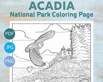 Acadia National Park Coloring Page, Printable Coloring Pages, Instant Download