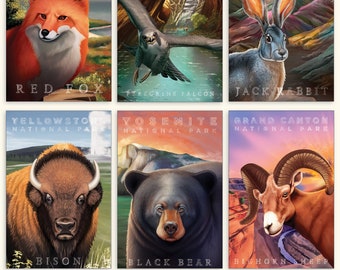 National Park Natives Postcard Set | National Park Cards | Travel Postcard | USA Park Postcards | Collage Postcards | Animal Postcards