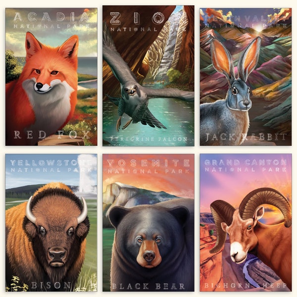 National Park Natives Postcard Set | National Park Cards | Travel Postcard | USA Park Postcards | Collage Postcards | Animal Postcards