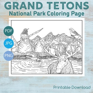 Grand Teton National Park Malseiten, Druckbare Malseiten, Instant Download