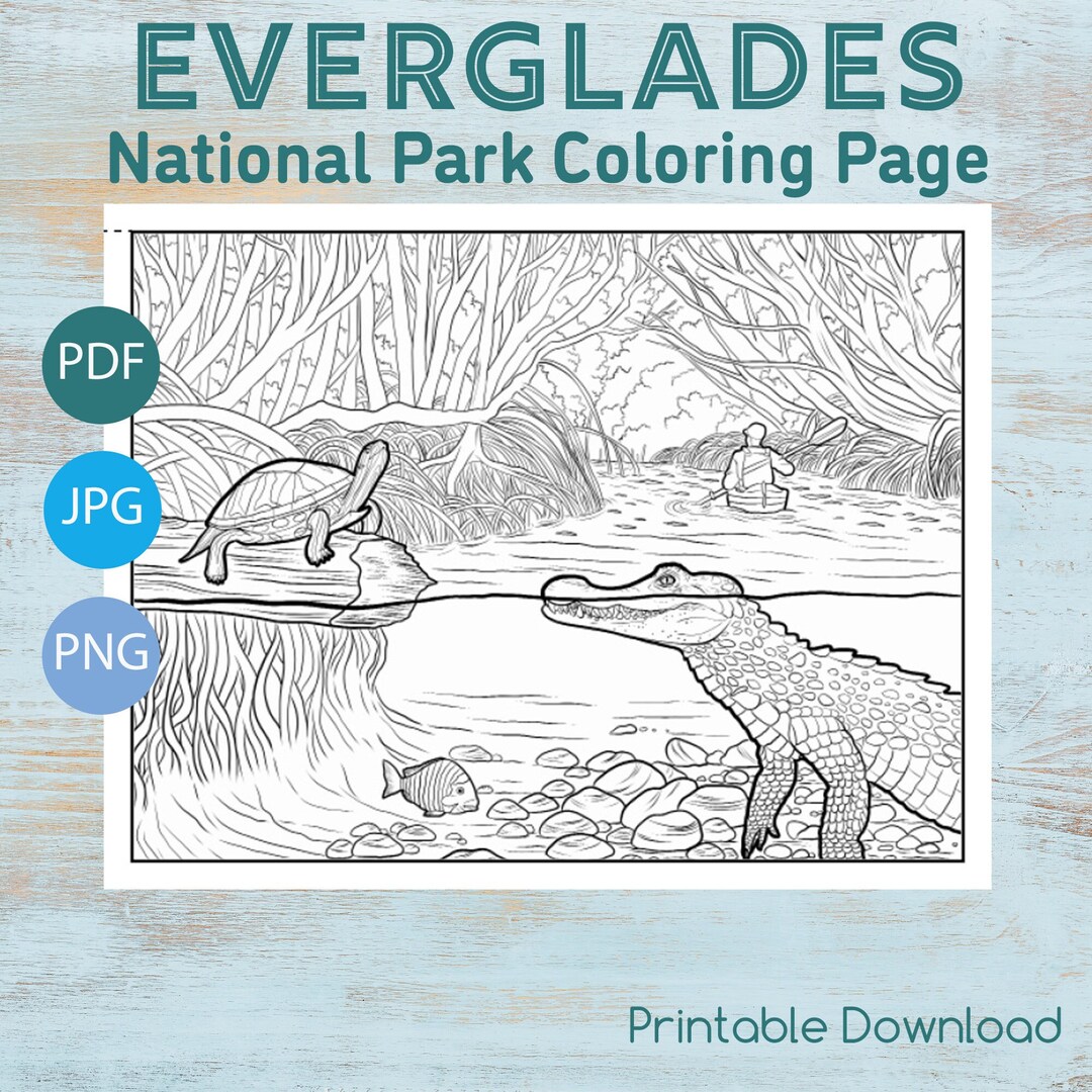 Everglades National Park Coloring Page, Printable Coloring Pages