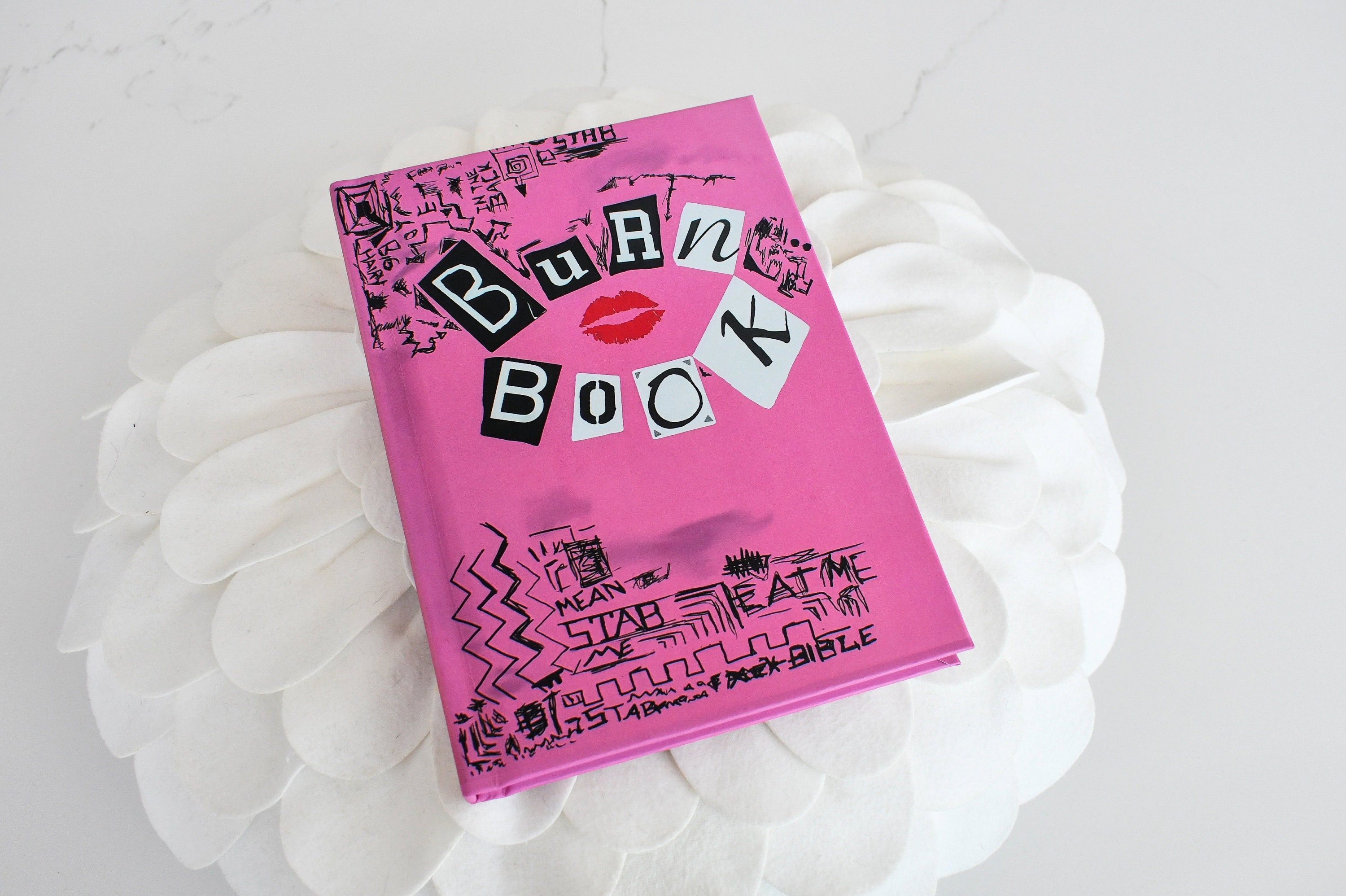 Mean Girls: The Burn Book Hardcover Ruled Journal (Hardcover)