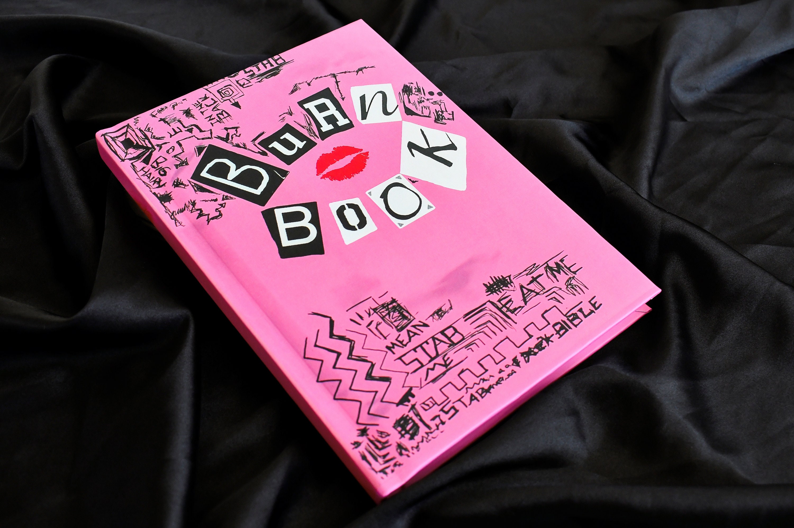 Reusable Sticker Storage Book, Holographic Mean Girls Burn Book for  Millennials, 5 X 7 