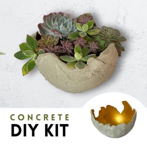 Pode incluir: Um kit DIY de concreto com uma plantadeira texturizada cinza claro cheia de várias suculentas em tons de verde, roxo e verde-azulado. A imagem também mostra uma tigela de concreto menor forrada a ouro.