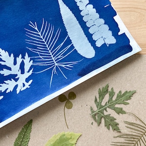 Kit complet de cyanotypie DIY pour impression au soleil - Comprend du papier pré-préparé et des plantes séchées.  Ajoutez simplement du soleil et de l'eau.