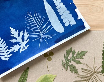 Vollständiges DIY-Cyanotypie-Kit für Sonnendrucke - enthält vorgefertigtes Papier und getrocknete Pflanzen. Nur Sonne und Wasser hinzufügen.