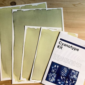 Vollständiges DIY-Cyanotypie-Kit für Sonnendrucke - enthält vorgefertigtes Papier und getrocknete Pflanzen.  Nur Sonne und Wasser hinzufügen.