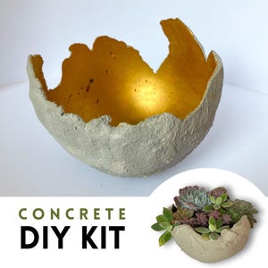 Può includere: Una ciotola di cemento con un esterno grigio ruvido e un interno color oro. La ciotola ha un bordo organico e irregolare. Il testo "CONCRETE DIY KIT" è visualizzato in verde e nero. Viene mostrata anche una ciotola più piccola con piante grasse.