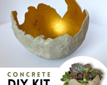 May include: A concrete bowl with a rough, gray exterior and a gold-colored interior. The bowl has an organic, uneven rim. The text "CONCRETE DIY KIT" is displayed in green and black. A smaller bowl with succulents is also shown.