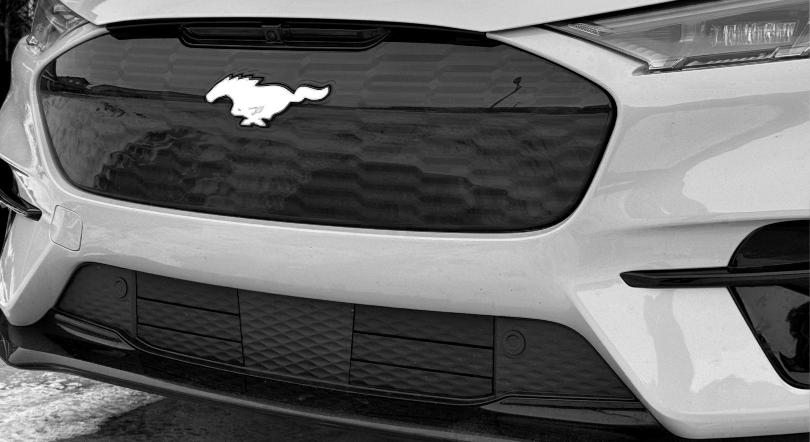 Mustang Mach E Front and Rear Horse Emblem Inserts See Store for More