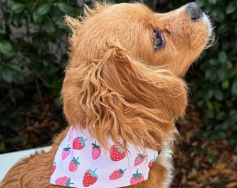 Strawberry Dog Bandana, Cat Bandana, Removable Collar