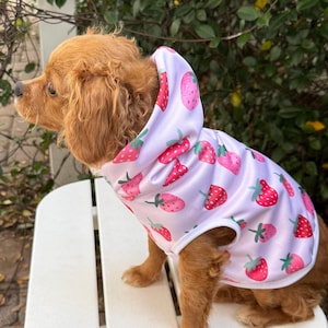Strawberry, dog jacket, dogs clothing, cat jacket, cats clothing, dog vest, pet outfit, pet clothes, cat pajamas, chihuahua clothes