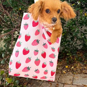 May include: A small, light brown dog with floppy ears is sitting inside a pink tote bag with a strawberry print. The bag has white straps and the text "Bella" is printed on the bottom.