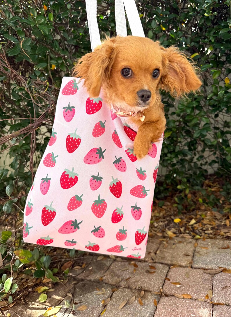 May include: A small, light brown dog with floppy ears is sitting inside a pink tote bag with a strawberry print. The bag has white straps and the text "Bella" is printed on the bottom.