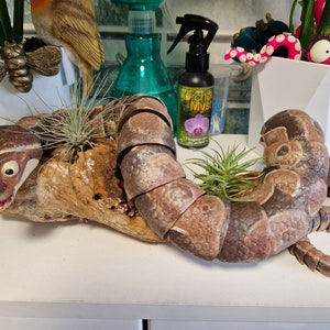 May include: A brown and tan segmented snake figurine with a toothy grin and large eyes. The snake is curled around a piece of driftwood with two small air plants growing on it.
