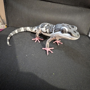May include: A realistic articulated lizard figurine featuring a black and white mottled pattern across its body and head. The creature has large dark eyes, a long segmented tail, and distinct pinkish-coloured feet with visible toes and claws.