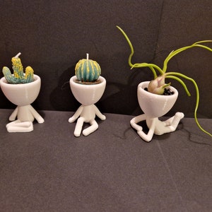 May include: Three white ceramic planters shaped like sitting figures, each with a different type of plant. The first planter has a small cactus with yellow accents, the second has a green and yellow cactus, and the third has a green air plant with long, thin leaves.