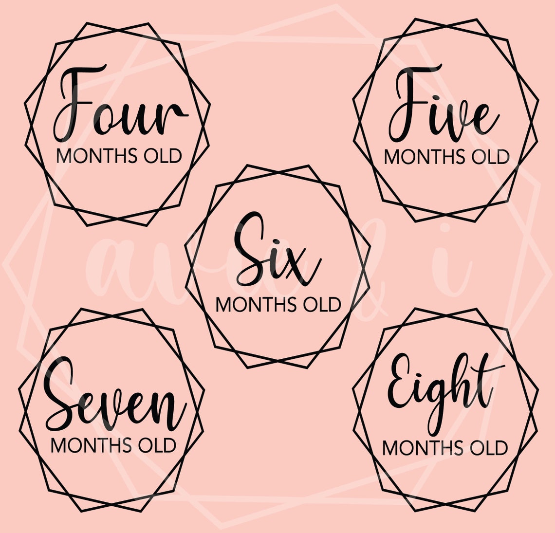 Baby Milestone Disc SVG Set Digital File 1 Day Old 1 Week Etsy