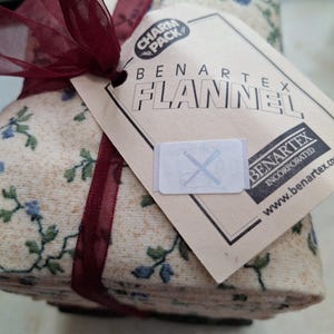 Savannah Charm Pack by Fons and Porter for Benartex