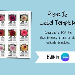 Puede incluir: Etiquetas de identificación de plantas imprimibles con nueve variedades de dalias diferentes. Cada etiqueta presenta una foto de la flor, el nombre de la variedad y espacio para escribir información sobre la planta, como el color, el tamaño de la floración, la clase de floración, el espaciado y la altura de la planta.