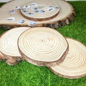 Wood Slices for centerpieces , Rustic Wedding decor , Wood Centerpiece Slices 4 inch