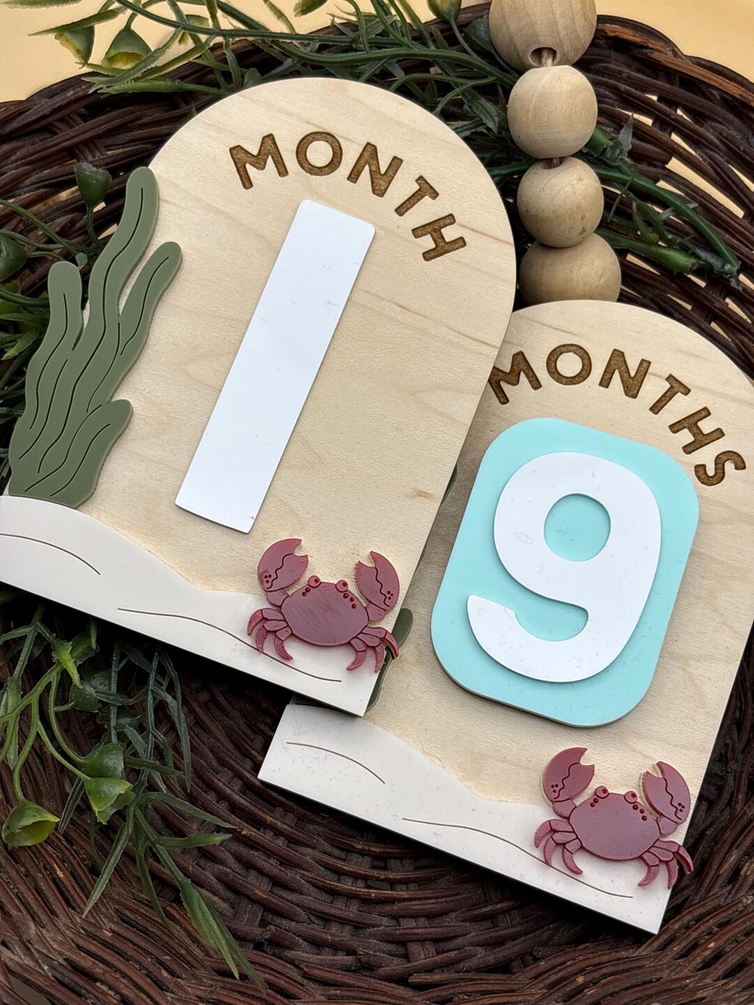 Under the Sea Baby Monthly Milestone Plaques/signs | Baby's First Year ...