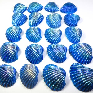 Blue Titanium Shell Coated, 32-45 mm, Natural Titanium Shell, 26 Pcs, Titanium Shell Coated Loose For Unique Creation,
