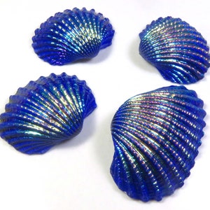 Titanium Shell Coated, 30-42 mm, Blue Titanium Shell, 4 Pcs, Natural Titanium Shell Gemstone Loose For Unique Creation,