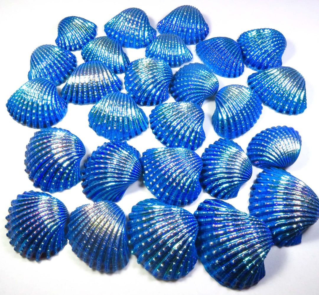 Coated Shells Natural Titanium Shell Coated, 32-45 Mm, Blue Titanium Shell Coated, 26 ...