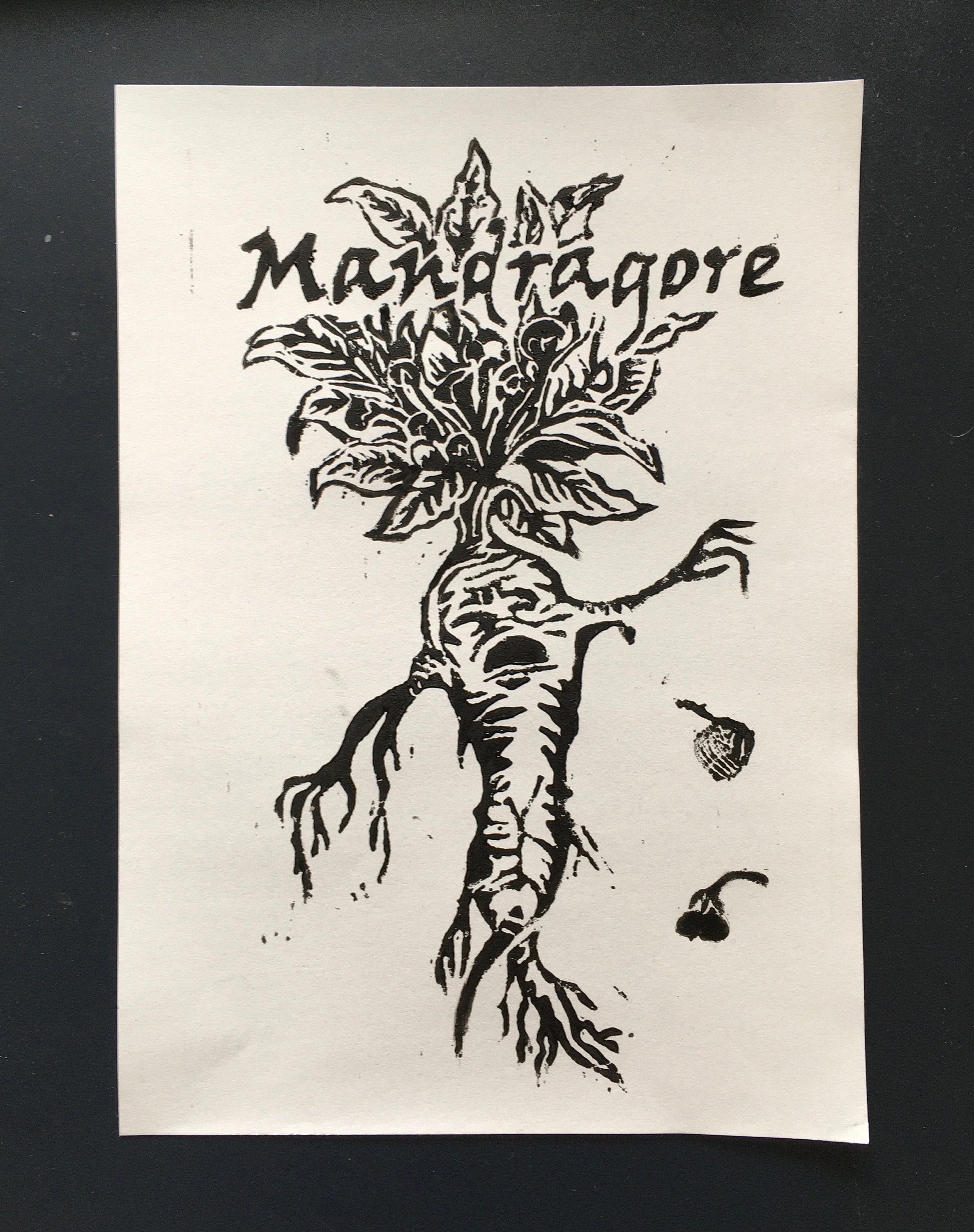 Linogravure Mandragore