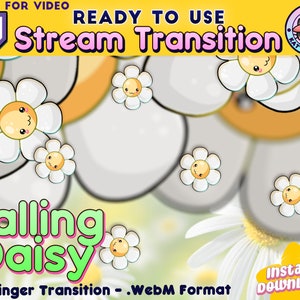 Gänseblümchen ÜBERGANG Stinger Motiv Wipe | UNIKAT, Sauber, Kawaii, Natur, Blume, bezaubernd, Niedlich, Pflanzen, Gelb, Weiß, OBS StreamLabs