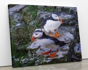 Puffin Bird Print, Coastal Seascape Photography, Mark Pollitt